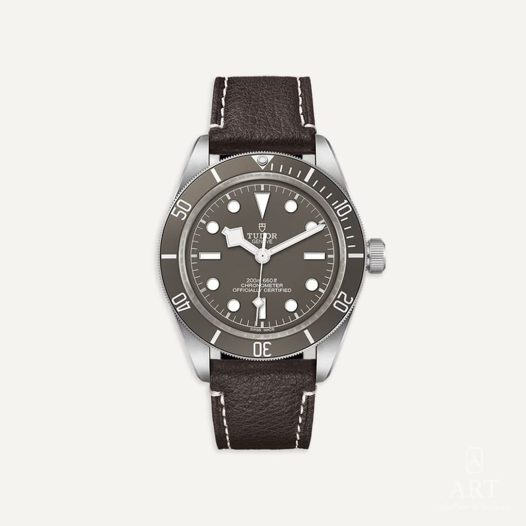 Tudor Black Bay 58 925 watch, taupe dial, reference M79010SG-0001
