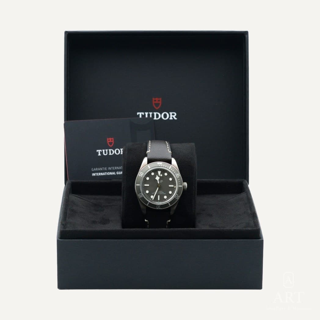 Tudor Black Bay 58 925 watch, taupe dial, reference M79010SG-0001 (2)