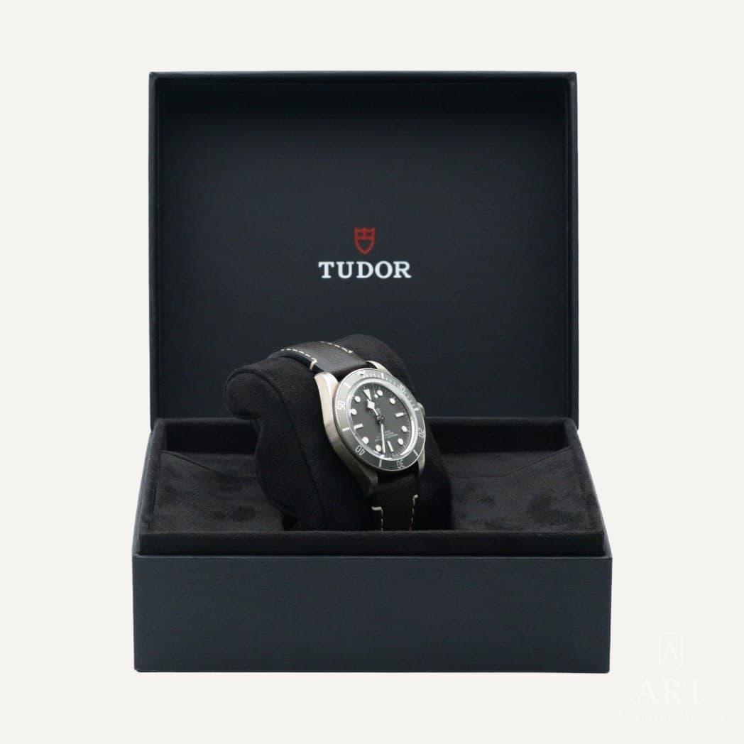 Tudor Black Bay 58 925 watch, taupe dial, reference M79010SG-0001 (3)