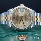 New Rolex Datejust 31mm 278273