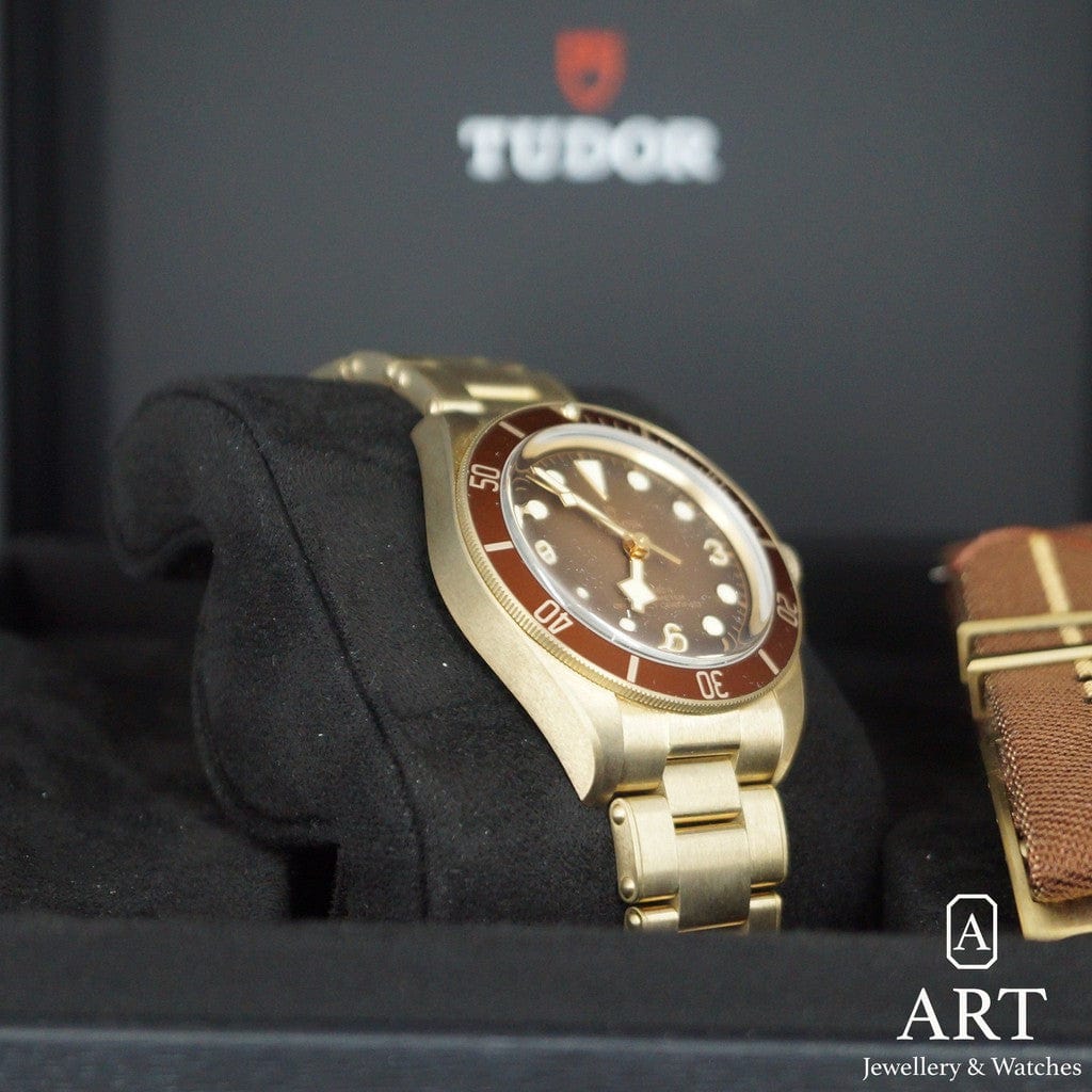 New Tudor Black Bay Arduvaz 39mm 79012