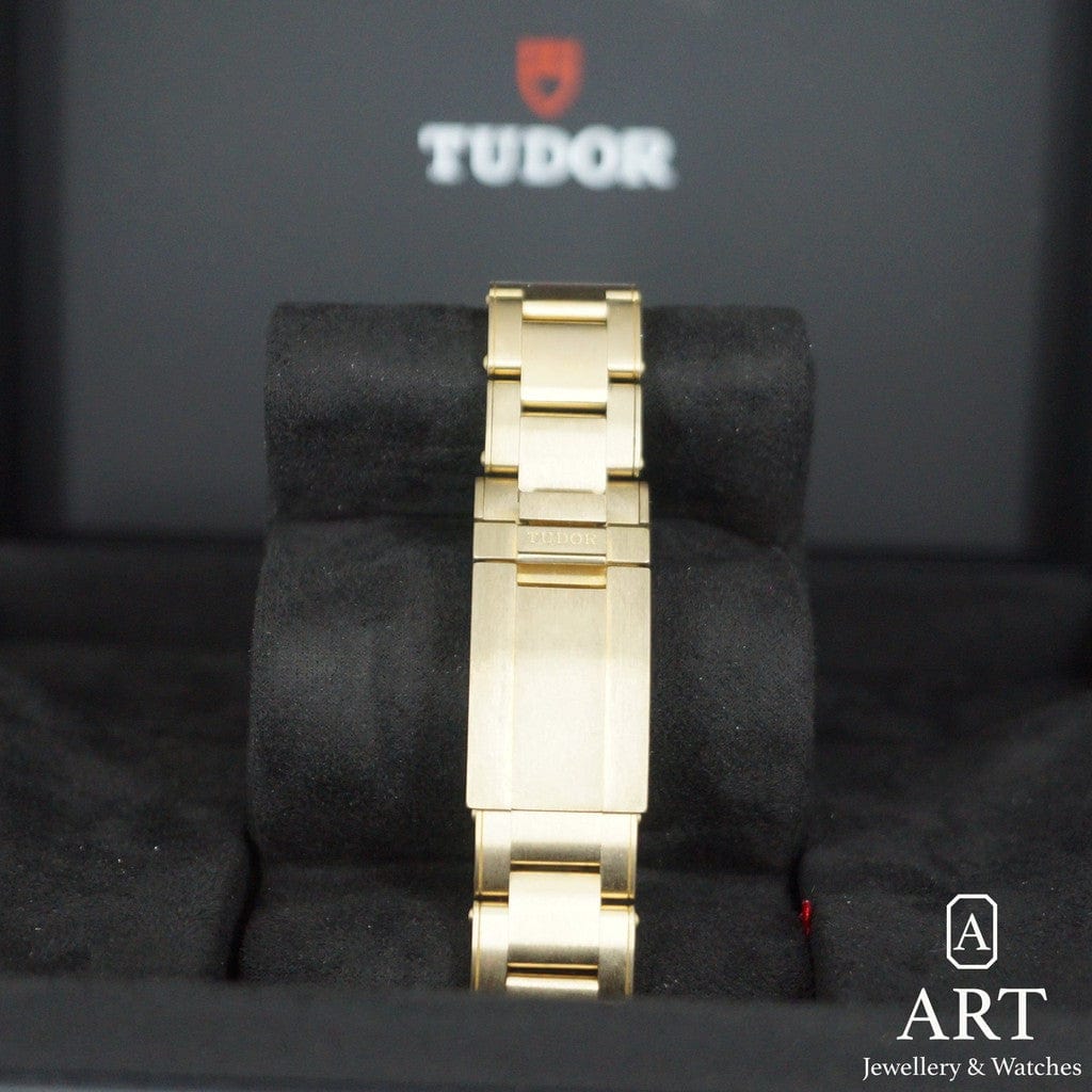 New Tudor Black Bay Arduvaz 39mm 79012