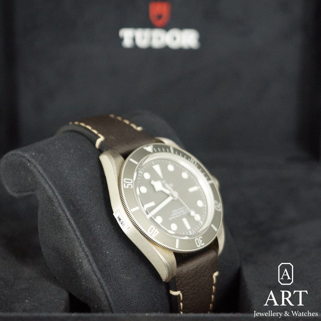 New Tudor Black Bay 39mm 79010SG-0001