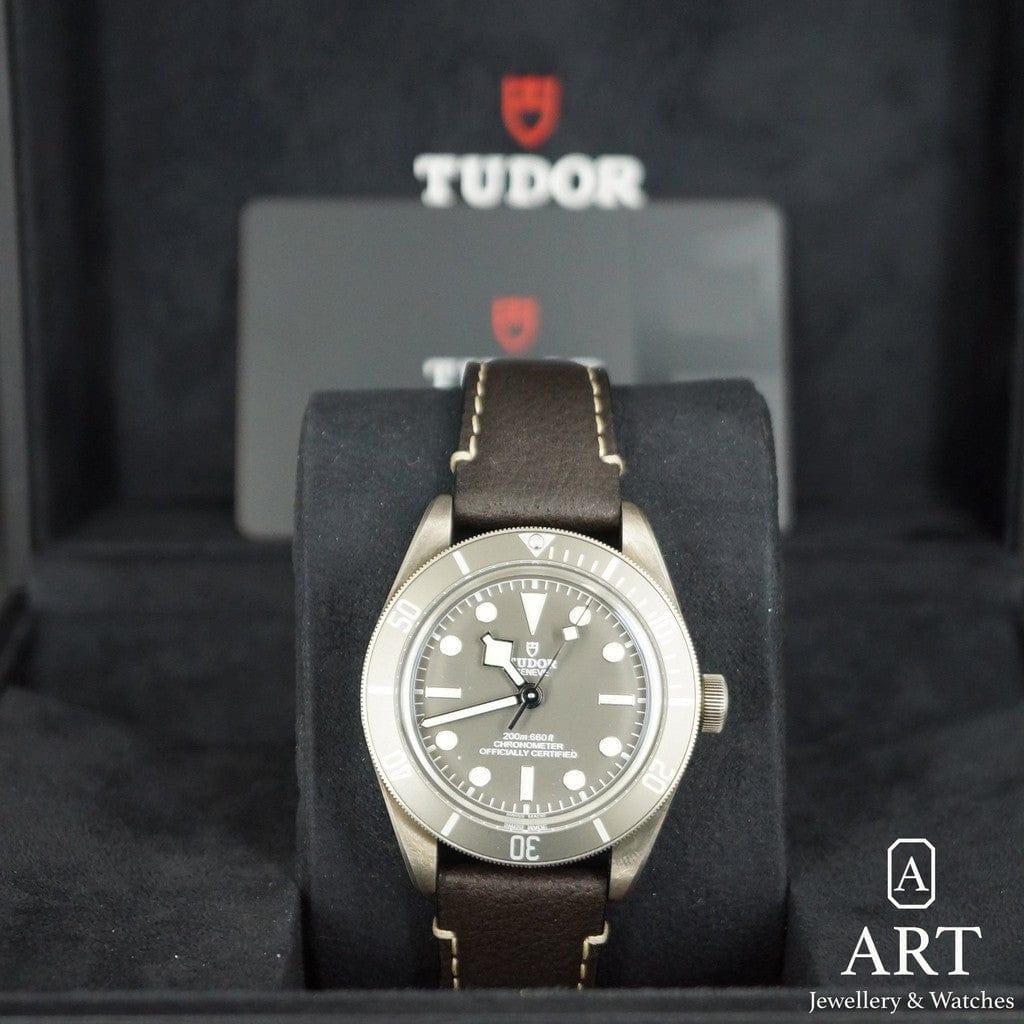 New Tudor Black Bay 39mm 79010SG-0001